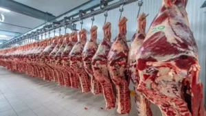La carne vacuna pierde lugar en la mesa: cae el consumo, pese a la estabilidad de los precios