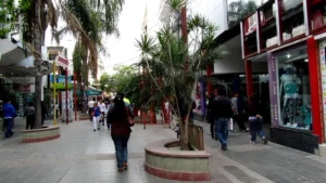 Rápida intervención policial: detienen a joven de 27 años por intento de hurto en la peatonal